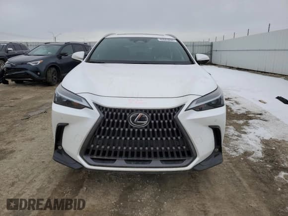 ✅ 2023 Lexus NX 350 Premium • VIN: 2T2GGCEZ8PC026876 • Lot: 46683055. Listed on Copart with 52,587 mi. Free auction sales archive from the USA and detailed vehicle history report at DreamBid. Image 5.