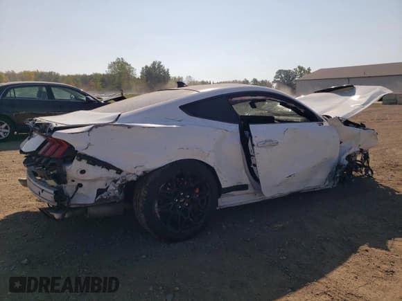 ✅ 2024 Ford Mustang GT Premium • VIN: 1FA6P8CF9R5429728 • Lot: 81266855. Listed on Copart with Not provided. Free auction sales archive from the USA and detailed vehicle history report at DreamBid. Image 3.