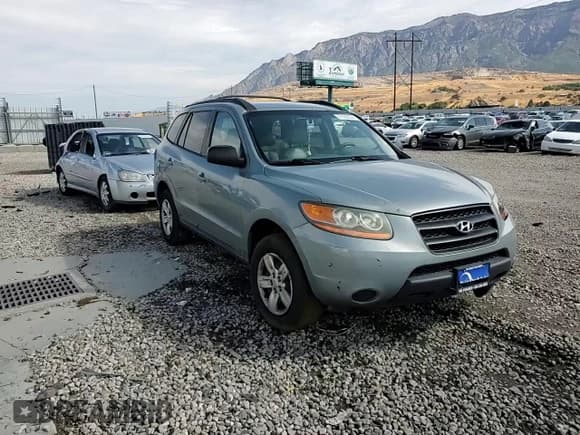 ✅ 2009 Hyundai Santa Fe GLS • VIN: 5NMSG13D29H255996 • Lot: 75030804. Listed on Copart with 176,586 mi. Free auction sales archive from the USA and detailed vehicle history report at DreamBid. Image 11.