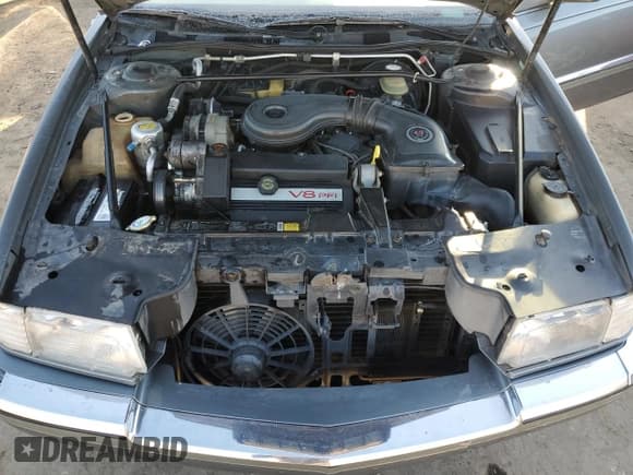 ✅ 1993 Cadillac Eldorado • VIN: 1G6EL12B1PU616913 • Lot: 80311794. Wystawiony na Copart z przebiegiem 174 556 mil. Bezpłatny archiwum sprzedaży aukcyjnych z USA i szczegółowy raport historii pojazdu na DreamBid. Zdjęcie 11.