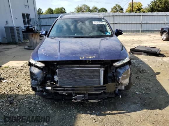 2020 Hyundai Santa Fe SEL with VIN 5NMS3CAD0LH226711, listed as a Copart auction lot 81456785 with 62,087 mi miles and Salvage title. Bid and sale history available at DreamBid. Image 5.