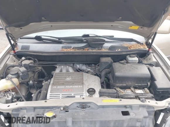 ✅ 2003 Lexus RX 300 • VIN: JTJHF10U830308089 • Lot: 42832022. Listed on IAAI with 244,219 mi. Free auction sales archive from the USA and detailed vehicle history report at DreamBid. Image 10.