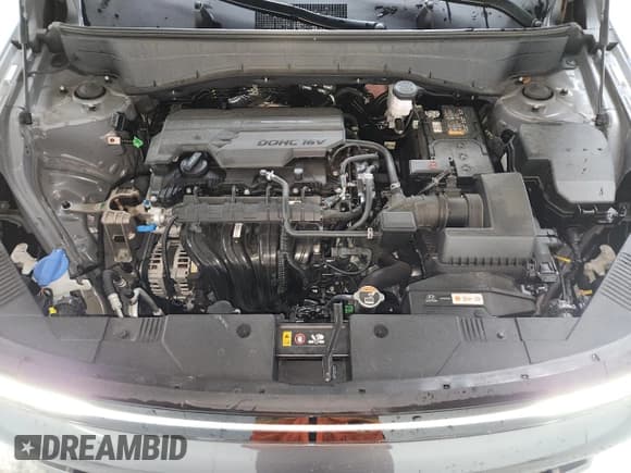 ✅ 2025 Hyundai Kona SEL • VIN: KM8HB3AB8SU212246 • Lot: 90502825. Wystawiony na Copart z przebiegiem 26 522 mil. Bezpłatny archiwum sprzedaży aukcyjnych z USA i szczegółowy raport historii pojazdu na DreamBid. Zdjęcie 12.