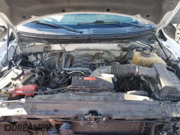 ✅ 2012 Ford F-150 XLT • VIN: 1FTFX1EF3CFC64520 • Lot: 90861795. Wystawiony na Copart z przebiegiem 272 516 mil. Bezpłatny archiwum sprzedaży aukcyjnych z USA i szczegółowy raport historii pojazdu na DreamBid. Zdjęcie 11.