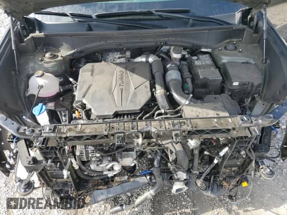 2024 Hyundai Santa Fe Calligraphy with VIN 5NMP5DGL9RH019702, listed as a Copart auction lot 64684665 with 19,213 mi miles and Salvage title. Bid and sale history available at DreamBid. Image 12.