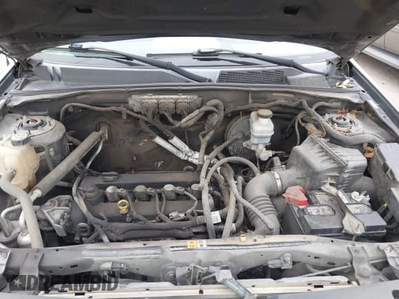 ✅ 2009 Ford Escape XLT • VIN: 1FMCU03779KA15621 • Lot: 43503931. Listed on IAAI with 225,020 mi. Free auction sales archive from the USA and detailed vehicle history report at DreamBid. Image 10.