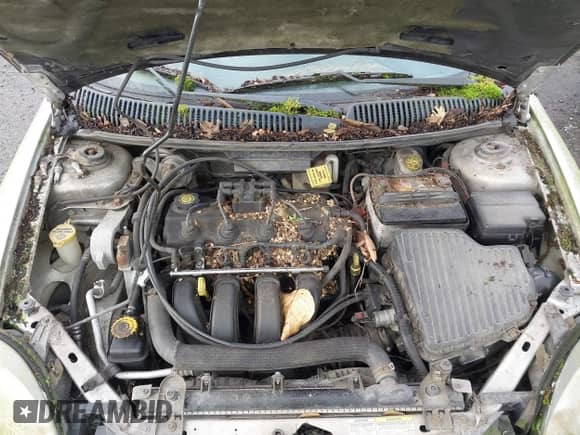 2003 Dodge Neon SXT z VIN 1B3ES56C43D190768, wystawiony jako IAAI lot #43618278 z przebiegiem Nie podano mil oraz . Historia ofert i sprzedaży dostępna na DreamBid. Obrazek 10.