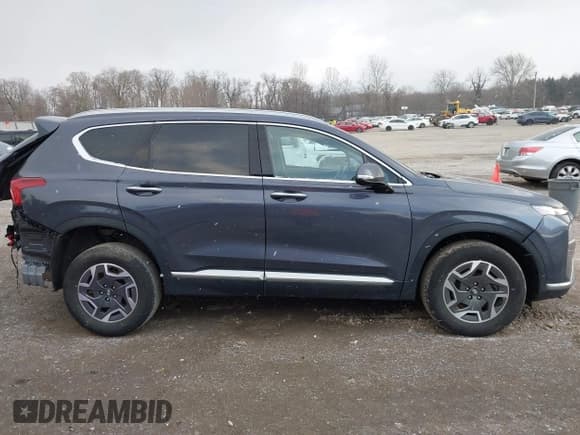 ✅ 2021 Hyundai Santa Fe Blue • VIN: KM8S2DA13MU013627 • Lot: 41630983. Listed on IAAI with 58,187 mi. Free auction sales archive from the USA and detailed vehicle history report at DreamBid. Image 13.