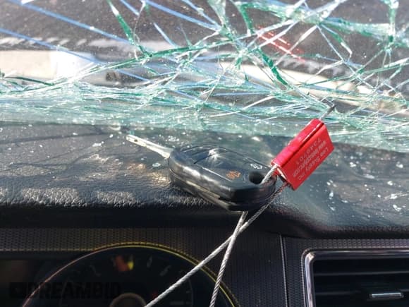 ✅ 2014 Ford Mustang GT Premium • VIN: 1ZVBP8CF2E5209833 • Lot: 43348697. Listed on IAAI with 91,687 mi. Free auction sales archive from the USA and detailed vehicle history report at DreamBid. Image 11.