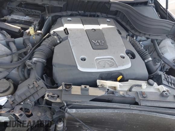 ✅ 2008 Infiniti EX Journey • VIN: JNKAJ09F88M353761 • Lot: 42544836. Wystawiony na IAAI z przebiegiem 152 085 mil. Bezpłatny archiwum sprzedaży aukcyjnych z USA i szczegółowy raport historii pojazdu na DreamBid. Zdjęcie 10.