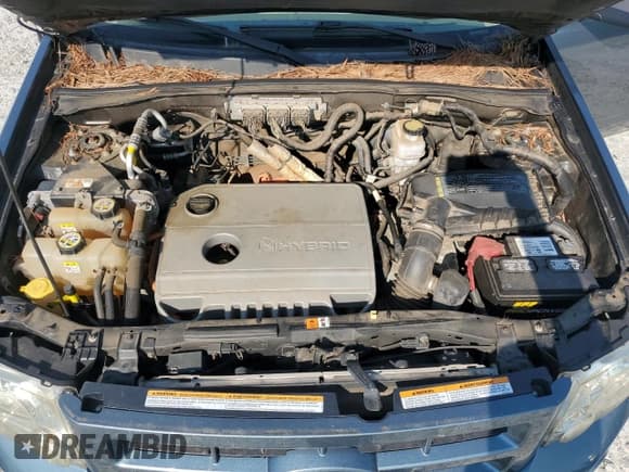 ✅ 2010 Ford Escape Hybrid • VIN: 1FMCU5K30AKC03381 • Lot: 61554675. Listed on Copart with 203,451 mi. Free auction sales archive from the USA and detailed vehicle history report at DreamBid. Image 12.