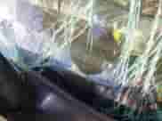 1999 Chevrolet Blazer LT z VIN 1GNDT13W1X2125173, wystawiony jako IAAI lot #41384552 z przebiegiem 208 059 mil mil oraz . Historia ofert i sprzedaży dostępna na DreamBid. Obrazek 9.