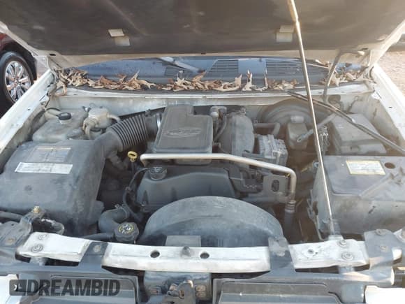 ✅ 2004 GMC Envoy SLE • VIN: 1GKDS13S142178660 • Lot: 43624030. Wystawiony na IAAI z przebiegiem Nie podano. Bezpłatny archiwum sprzedaży aukcyjnych z USA i szczegółowy raport historii pojazdu na DreamBid. Zdjęcie 10.