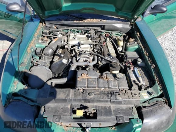 ✅ 1999 Ford Mustang SVT Cobra • VIN: 1FAFP47V3XF178934 • Lot: 88999535. Listed on Copart with 182,989 mi. Free auction sales archive from the USA and detailed vehicle history report at DreamBid. Image 11.