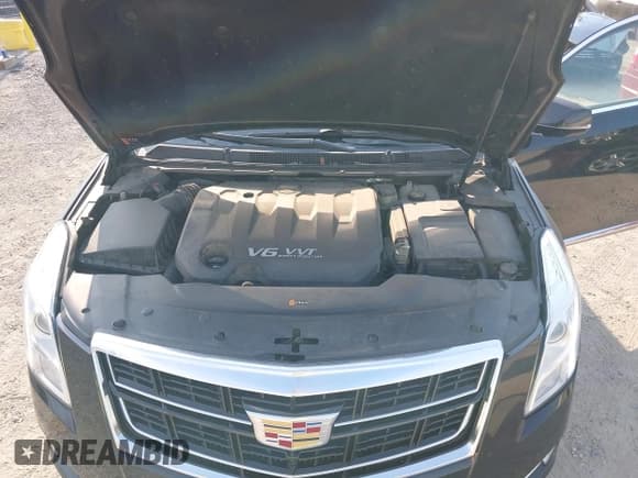 ✅ 2017 Cadillac XTS Luxury • VIN: 2G61N5S34H9136775 • Lot: 42898012. Listed on IAAI with 92,568 mi. Free auction sales archive from the USA and detailed vehicle history report at DreamBid. Image 10.