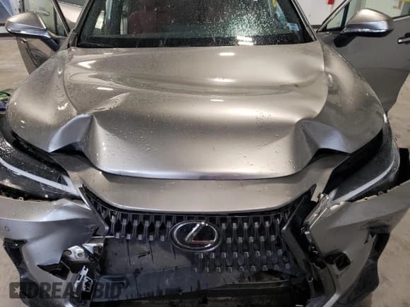 ✅ 2025 Lexus NX 350h Premium • VIN: 2T2GKCEZ7SC035365 • Лот: 86218505. Опубликован ранее на Copart с пробегом 24 801 миль. Бесплатный доступ к архиву аукционных продаж из США и подробный отчёт об истории автомобиля на DreamBid. Изображение 12.