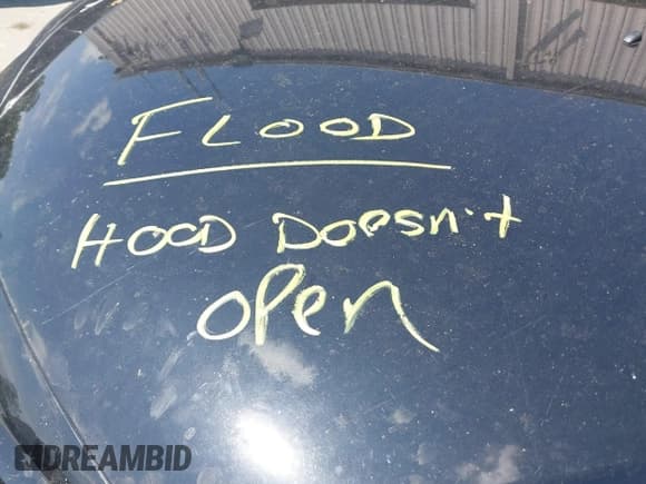 ✅ 2007 Mazda 6 i Sport VE • VIN: 1YVHP80C375M25341 • Лот: 42775479. Опубликован ранее на IAAI с пробегом Не указан. Бесплатный доступ к архиву аукционных продаж из США и подробный отчёт об истории автомобиля на DreamBid. Изображение 10.