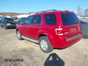 ✅ 2010 Ford Escape XLT • VIN: 1FMCU9DG9AKA87993 • Lot: 42068919. Wystawiony na IAAI z przebiegiem Nie podano. Bezpłatny archiwum sprzedaży aukcyjnych z USA i szczegółowy raport historii pojazdu na DreamBid. Zdjęcie 3.