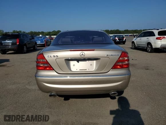 ✅ 2001 Mercedes-Benz CL AMG • VIN: WDBPJ73J41A012302 • Lot: 66386455. Wystawiony na Copart z przebiegiem Nie podano. Bezpłatny archiwum sprzedaży aukcyjnych z USA i szczegółowy raport historii pojazdu na DreamBid. Zdjęcie 6.