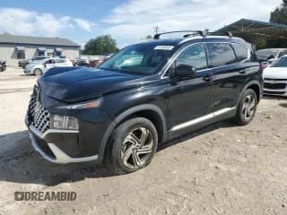 ✅ 2021 Hyundai Santa Fe SEL • VIN: 5NMS24AJ9MH316455 • Lot: 82165045. Wystawiony na Copart z przebiegiem 46 870 mil. Bezpłatny archiwum sprzedaży aukcyjnych z USA i szczegółowy raport historii pojazdu na DreamBid. Zdjęcie 1.