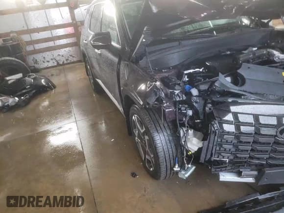 ✅ 2024 Hyundai Palisade SEL • VIN: KM8R4DGE5RU722750 • Лот: 80923654. Опубликован ранее на Copart с пробегом 24 034 миль. Бесплатный доступ к архиву аукционных продаж из США и подробный отчёт об истории автомобиля на DreamBid. Изображение 11.