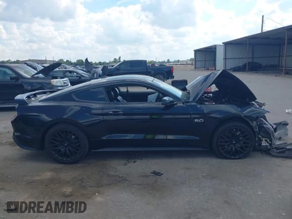 ✅ 2021 Ford Mustang GT Premium • VIN: 1FA6P8CF4M5120323 • Lot: 43467945. Listed on IAAI with Not provided. Free auction sales archive from the USA and detailed vehicle history report at DreamBid. Image 12.