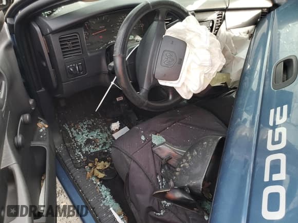 ✅ 2002 Dodge Dakota • VIN: 1B7GL12X12S669374 • Lot: 81964605. Wystawiony na Copart z przebiegiem 71 608 mil. Bezpłatny archiwum sprzedaży aukcyjnych z USA i szczegółowy raport historii pojazdu na DreamBid. Zdjęcie 8.