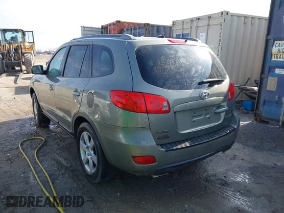 ✅ 2008 Hyundai Santa Fe SE • VIN: 5NMSH13E48H198544 • Lot: 43775442. Listed on IAAI with 317,914 mi. Free auction sales archive from the USA and detailed vehicle history report at DreamBid. Image 3.
