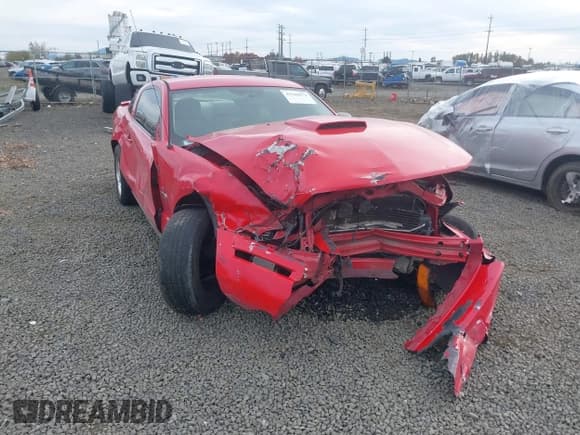 ✅ 2008 Ford Mustang Deluxe • VIN: 1ZVHT80N785196566 • Lot: 43528074. Listed on IAAI with Not provided. Free auction sales archive from the USA and detailed vehicle history report at DreamBid. Image 6.