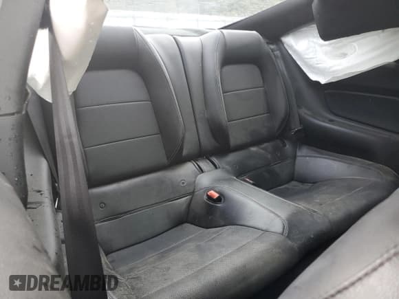 ✅ 2019 Ford Mustang GT Premium • VIN: 1FA6P8CF0K5192455 • Lot: 85334845. Wystawiony na Copart z przebiegiem 51 935 mil. Bezpłatny archiwum sprzedaży aukcyjnych z USA i szczegółowy raport historii pojazdu na DreamBid. Zdjęcie 10.