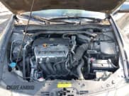 ✅ 2009 Acura TSX • VIN: JH4CU26639C019502 • Lot: 43694403. Wystawiony na IAAI z przebiegiem 210 618 mil. Bezpłatny archiwum sprzedaży aukcyjnych z USA i szczegółowy raport historii pojazdu na DreamBid. Zdjęcie 10.