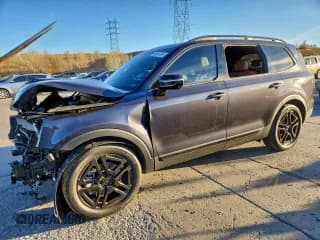 ✅ 2025 Kia Telluride SX X-Line • VIN: 5XYP5DGC0SG623204 • Lot: 93884155. Wystawiony na Copart z przebiegiem Nie podano. Bezpłatny archiwum sprzedaży aukcyjnych z USA i szczegółowy raport historii pojazdu na DreamBid. Zdjęcie 1.