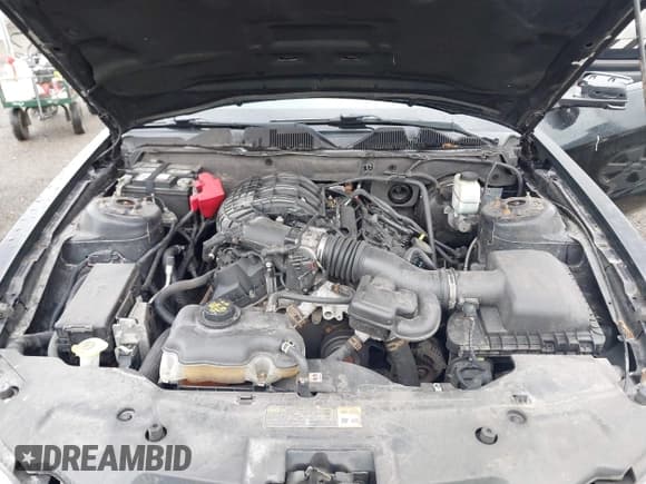 ✅ 2012 Ford Mustang Premium • VIN: 1ZVBP8AM3C5239339 • Lot: 43393515. Listed on IAAI with 170,764 mi. Free auction sales archive from the USA and detailed vehicle history report at DreamBid. Image 10.