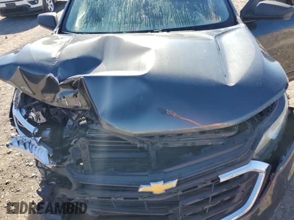 ✅ 2019 Chevrolet Equinox LS • VIN: 3GNAXSEV0KL216668 • Лот: 82679555. Опубликован ранее на Copart с пробегом 150 156 миль. Бесплатный доступ к архиву аукционных продаж из США и подробный отчёт об истории автомобиля на DreamBid. Изображение 12.