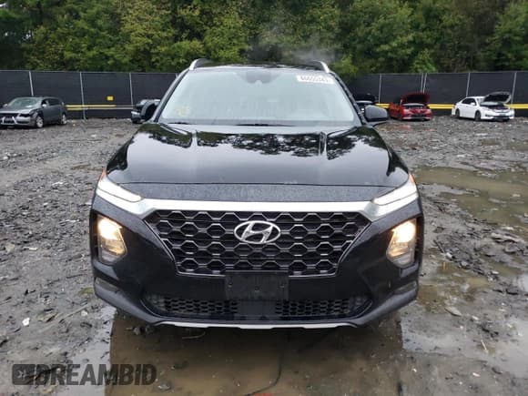 ✅ 2020 Hyundai Santa Fe SEL • VIN: 5NMS3CAD7LH160030 • Lot: 66655343. Wystawiony na Copart z przebiegiem 46 173 mil. Bezpłatny archiwum sprzedaży aukcyjnych z USA i szczegółowy raport historii pojazdu na DreamBid. Zdjęcie 5.