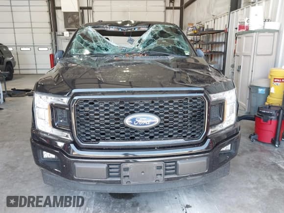 ✅ 2019 Ford F-150 XL • VIN: 1FTEW1C58KFB24955 • Lot: 42651920. Wystawiony na IAAI z przebiegiem 98 598 mil. Bezpłatny archiwum sprzedaży aukcyjnych z USA i szczegółowy raport historii pojazdu na DreamBid. Zdjęcie 12.