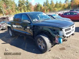 ✅ 2011 Ram Dakota Big Horn • VIN: 1D7RW3GK1BS606466 • Lot: 40529380. Wystawiony na IAAI z przebiegiem 110 431 mil. Bezpłatny archiwum sprzedaży aukcyjnych z USA i szczegółowy raport historii pojazdu na DreamBid. Zdjęcie 1.