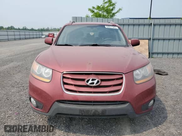 2010 Hyundai Santa Fe GL with VIN 5NMSGDAGXAH369098, listed as a Copart auction lot 60051345 with 202,136 mi miles and Clean title. Bid and sale history available at DreamBid. Image 5.