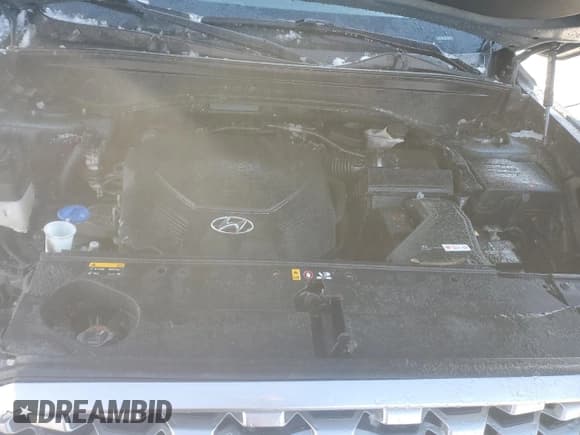 ✅ 2020 Hyundai Palisade SEL • VIN: KM8R2DHE5LU030841 • Лот: 86751354. Опубликован ранее на Copart с пробегом 88 674 миль. Бесплатный доступ к архиву аукционных продаж из США и подробный отчёт об истории автомобиля на DreamBid. Изображение 12.