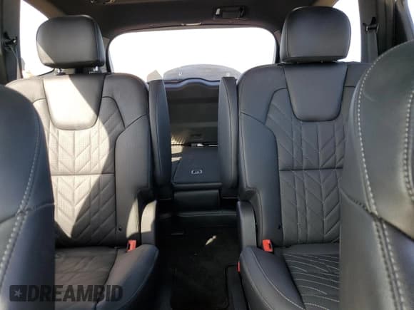 ✅ 2024 Kia Telluride SX Prestige X-Pro • VIN: 5XYP5DGC8RG422323 • Lot: 55699535. Listed on Copart with 18,348 mi. Free auction sales archive from the USA and detailed vehicle history report at DreamBid. Image 10.
