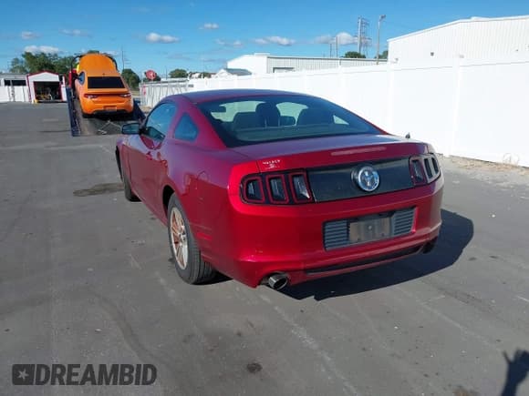 ✅ 2014 Ford Mustang V6 • VIN: 1ZVBP8AM1E5251444 • Lot: 43425428. Listed on IAAI with 130,968 mi. Free auction sales archive from the USA and detailed vehicle history report at DreamBid. Image 3.
