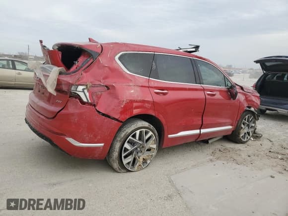 ✅ 2023 Hyundai Santa Fe Calligraphy • VIN: 5NMS54AL2PH495094 • Lot: 48189065. Listed on Copart with Not provided. Free auction sales archive from the USA and detailed vehicle history report at DreamBid. Image 3.