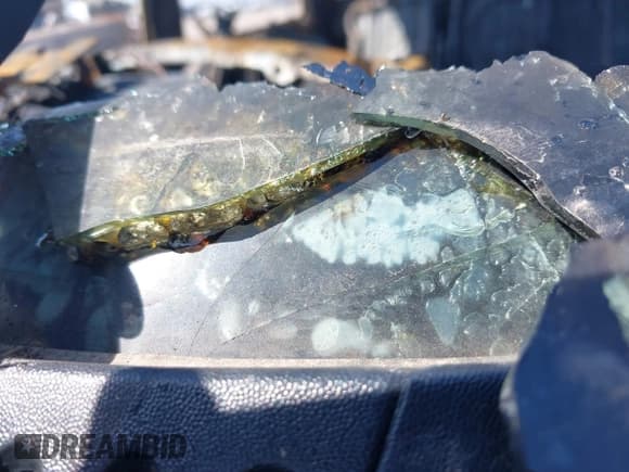 ✅ 2002 Chevrolet Silverado 2500HD LS • VIN: 1GCHK23G72F125157 • Лот: 41932868. Опубликован ранее на IAAI с пробегом Не указан. Бесплатный доступ к архиву аукционных продаж из США и подробный отчёт об истории автомобиля на DreamBid. Изображение 9.