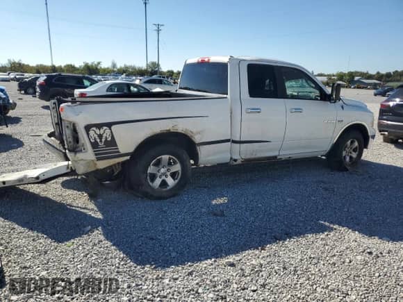 ✅ 2010 Dodge 1500 SLT • VIN: 1D7RV1GT5AS208434 • Lot: 86172435. Listed on Copart with Not provided. Free auction sales archive from the USA and detailed vehicle history report at DreamBid. Image 3.