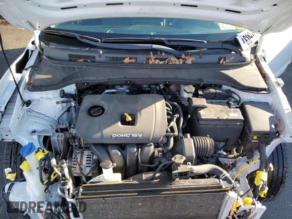 ✅ 2019 Hyundai Kona SEL • VIN: KM8K2CAAXKU231913 • Lot: 78187503. Listed on Copart with 54,398 mi. Free auction sales archive from the USA and detailed vehicle history report at DreamBid. Image 11.