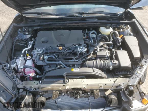 ✅ 2025 Toyota Camry LE • VIN: 4T1DBADK6SU028616 • Lot: 80899255. Listed on Copart with 2,162 mi. Free auction sales archive from the USA and detailed vehicle history report at DreamBid. Image 11.