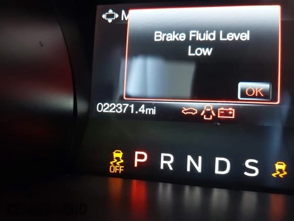 ✅ 2022 Ford Mustang GT • VIN: 1FA6P8CF6N5135181 • Lot: 42171291. Listed on IAAI with 22,371 mi. Free auction sales archive from the USA and detailed vehicle history report at DreamBid. Image 16.