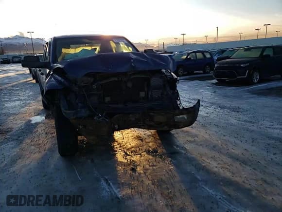 ✅ 2010 Dodge 1500 SLT • VIN: 1D7RV1GP4AS135155 • Lot: 87081204. Wystawiony na Copart z przebiegiem Nie podano. Bezpłatny archiwum sprzedaży aukcyjnych z USA i szczegółowy raport historii pojazdu na DreamBid. Zdjęcie 10.