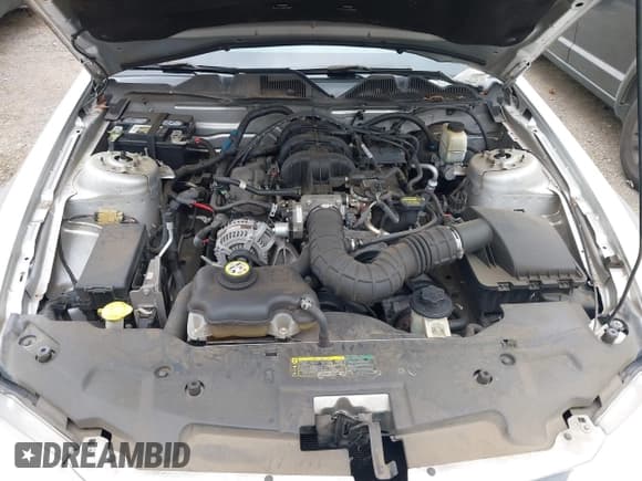 ✅ 2010 Ford Mustang V6 • VIN: 1ZVBP8AN8A5108851 • Lot: 41786527. Listed on IAAI with 204,690 mi. Free auction sales archive from the USA and detailed vehicle history report at DreamBid. Image 10.