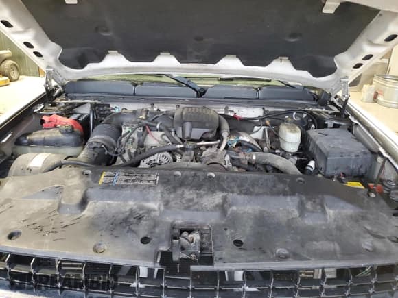 ✅ 2007 Chevrolet Silverado 2500HD 2LT • VIN: 1GCHK29697E535969 • Lot: 70723923. Wystawiony na Copart z przebiegiem 141 449 mil. Bezpłatny archiwum sprzedaży aukcyjnych z USA i szczegółowy raport historii pojazdu na DreamBid. Zdjęcie 11.